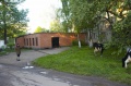 Файл=img_3753.jpg
Объём=186КБ
Размеры=726x482
Дата=Май 29, 2006 img_3753.jpg