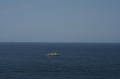 img_8660.jpg