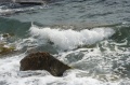 img_8728.jpg