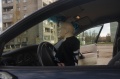 Файл=img_7207.jpg
Объём=190КБ
Размеры=700x465
Дата=Май 01, 2007 img_7207.jpg
