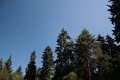 Файл=78879382.jpg
Объём=207КБ
Размеры=784x523
Дата=Июль 15, 2008 78879382.jpg