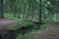 Файл=IMG_8392.jpg
Объём=671КБ
Размеры=1024x682
Дата=Июнь 29, 2010 IMG_8392.jpg