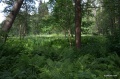 Файл=IMG_8414.jpg
Объём=669КБ
Размеры=1024x682
Дата=Июнь 29, 2010 IMG_8414.jpg