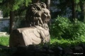 IMG_8466.jpg