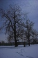 Файл=img_0568-01.jpg
Объём=395КБ
Размеры=1065x1600
Дата=Фев 14, 2006 img_0568-01.jpg