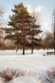 Файл=img_1001.jpg
Объём=160КБ
Размеры=531x800
Дата=Март 09, 2006 img_1001.jpg