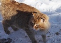 Файл=img_6462.jpg
Объём=47КБ
Размеры=700x496
Дата=Фев 28, 2007 img_6462.jpg