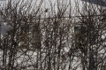 Файл=img_6487.jpg
Объём=134КБ
Размеры=700x465
Дата=Фев 28, 2007 img_6487.jpg