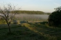 Файл=road_tuman.jpg
Объём=156КБ
Размеры=650x433
Дата=Июнь 15, 2007 road_tuman.jpg