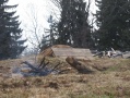 Файл=img_1996.jpg
Объём=184КБ
Размеры=1000x750
Дата=Апр 18, 2007 img_1996.jpg