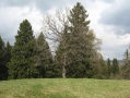 Файл=img_2037.jpg
Объём=204КБ
Размеры=1000x750
Дата=Май 03, 2007 img_2037.jpg
