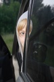 Файл=_mg_1806.jpg
Объём=145КБ
Размеры=600x900
Дата=Июнь 20, 2007 _mg_1806.jpg