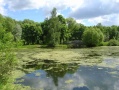 Файл=dsc00812.jpg
Объём=331КБ
Размеры=2592x1944
Дата=Окт 05, 2006 dsc00812.jpg