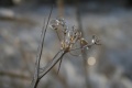 Файл=IMG_1097.JPG
Объём=95КБ
Размеры=768x512
Дата=Янв 11, 2011 IMG_1097.JPG