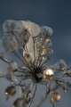 Файл=IMG_1110.JPG
Объём=120КБ
Размеры=512x768
Дата=Янв 11, 2011 IMG_1110.JPG