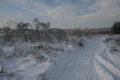 Файл=IMG_1122.JPG
Объём=157КБ
Размеры=768x512
Дата=Янв 11, 2011 IMG_1122.JPG