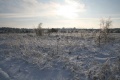 Файл=IMG_1140.JPG
Объём=205КБ
Размеры=768x512
Дата=Янв 11, 2011 IMG_1140.JPG