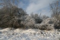 Файл=IMG_1145.JPG
Объём=268КБ
Размеры=768x512
Дата=Янв 11, 2011 IMG_1145.JPG