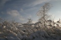 Файл=IMG_1152.JPG
Объём=182КБ
Размеры=768x512
Дата=Янв 11, 2011 IMG_1152.JPG