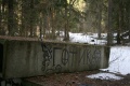 Файл=IMG_4690.JPG
Объём=239КБ
Размеры=768x512
Дата=Март 17, 2008 IMG_4690.JPG