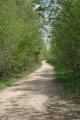 Файл=IMG_5023.JPG
Объём=299КБ
Размеры=512x768
Дата=Май 12, 2008 IMG_5023.JPG