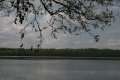 Файл=IMG_5031.JPG
Объём=183КБ
Размеры=768x512
Дата=Май 12, 2008 IMG_5031.JPG