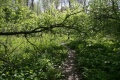Файл=IMG_5036.JPG
Объём=365КБ
Размеры=768x512
Дата=Май 12, 2008 IMG_5036.JPG