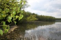 Файл=IMG_5039.JPG
Объём=238КБ
Размеры=768x512
Дата=Май 12, 2008 IMG_5039.JPG