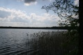 Файл=IMG_5053.JPG
Объём=201КБ
Размеры=768x512
Дата=Май 12, 2008 IMG_5053.JPG