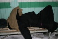 Файл=img_0843.jpg
Объём=136КБ
Размеры=768x512
Дата=Фев 12, 2007 img_0843.jpg