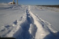 Файл=img_0867.jpg
Объём=179КБ
Размеры=768x512
Дата=Фев 12, 2007 img_0867.jpg