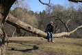Файл=img_1432.jpg
Объём=308КБ
Размеры=768x512
Дата=Март 26, 2007 img_1432.jpg
