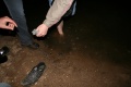Файл=img_2464.jpg
Объём=162КБ
Размеры=768x512
Дата=Июнь 04, 2007 img_2464.jpg