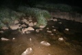 Файл=img_2465.jpg
Объём=189КБ
Размеры=768x512
Дата=Июнь 04, 2007 img_2465.jpg