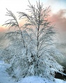 Файл=img_1374m.jpg
Объём=84КБ
Размеры=397x500
Дата=Нояб 14, 2006 img_1374m.jpg