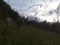 Файл=09082006167.jpg
Объём=250КБ
Размеры=1600x1200
Дата=Март 25, 2007 09082006167.jpg