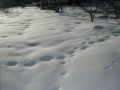 Файл=dscn3868.jpg
Объём=349КБ
Размеры=1024x768
Дата=Окт 10, 2006 dscn3868.jpg
