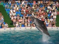 Файл=sochi_077.jpg
Объём=172КБ
Размеры=800x600
Дата=Окт 05, 2007 sochi_077.jpg