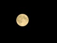 Файл=2014-08-10_18-08-50.JPG
Объём=535КБ
Размеры=4000x3000
Дата=Май 20, 2016 2014-08-10_18-08-50.JPG