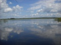 Файл=DSCN2402.jpg
Объём=84КБ
Размеры=1024x768
Дата=Май 31, 2010 DSCN2402.jpg