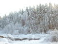 Файл=Изображение_177.jpg
Объём=2443КБ
Размеры=4000x3000
Дата=Янв 12, 2011 Изображение_177.jpg