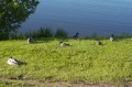 Файл=img_4046.jpg
Объём=161КБ
Размеры=800x531
Дата=Июнь 13, 2006 img_4046.jpg