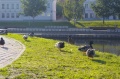 Файл=img_4057.jpg
Объём=137КБ
Размеры=800x531
Дата=Июнь 13, 2006 img_4057.jpg